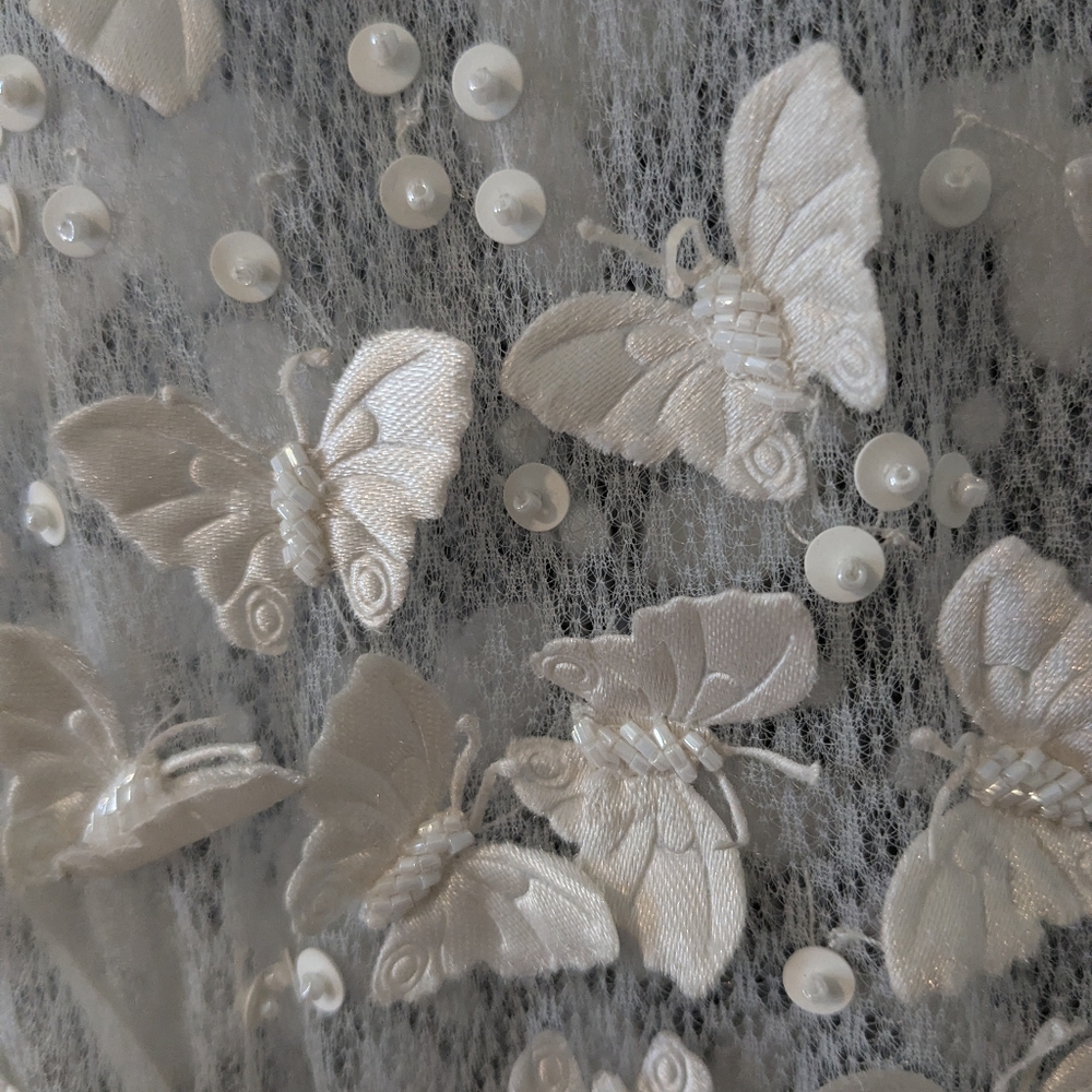 BHLDN White Sheer Butterfly Lace Bodice Wedding Dress Size 10 - Picture 9 of 12